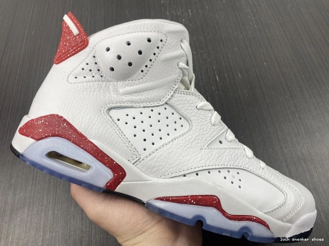 Reps LUCY 6 Jordan CT8529-162 Retro Hare 0713